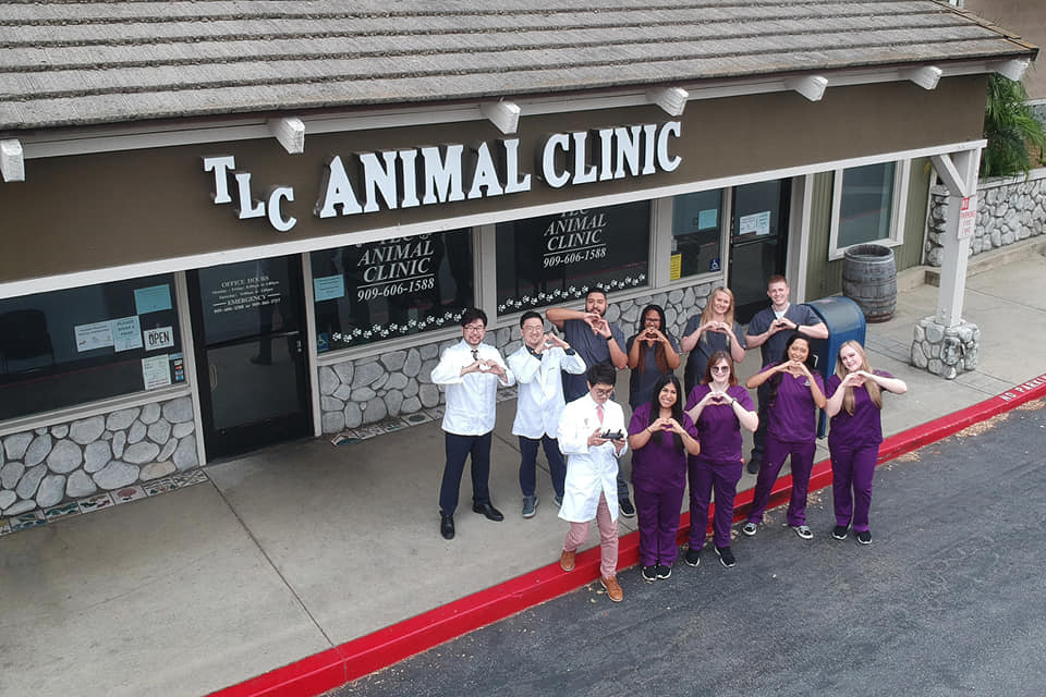 Hillside Animal Clinic team outside clinic
